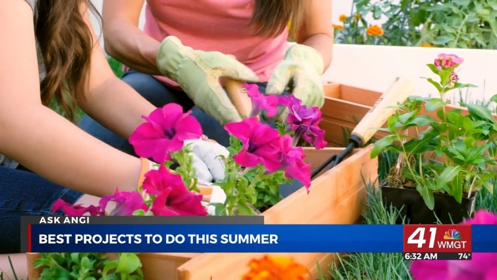 Ask Angi: Best Projects To Do This Summer