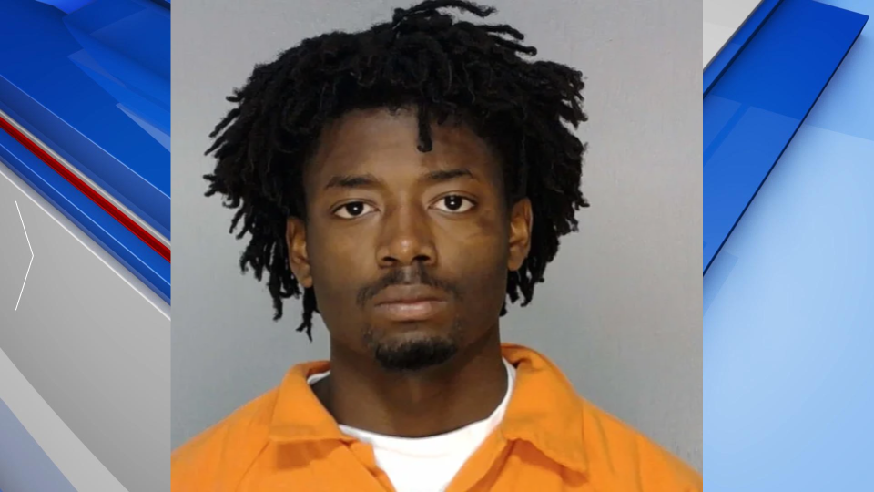 Lewis Booking Photo