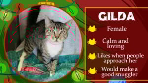 Day 3 Gilda