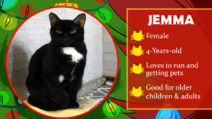Day 1 Jemma