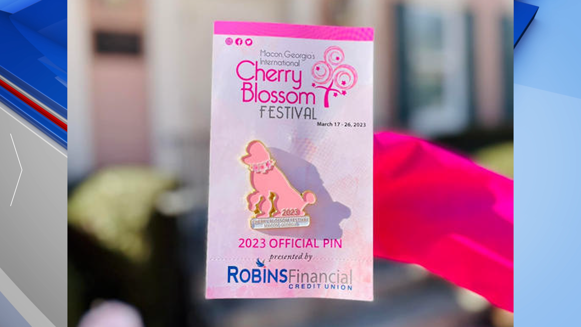 2023 Cherry Blossom Festival pins unveiled