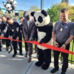 Panda Park Web