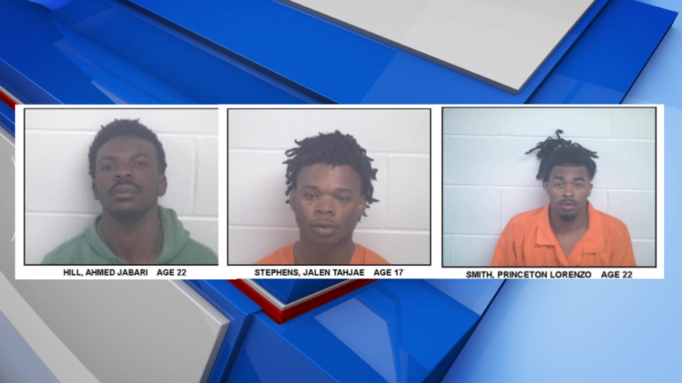 Deputies: 3 arrested for attempting to smuggle contraband into ...
