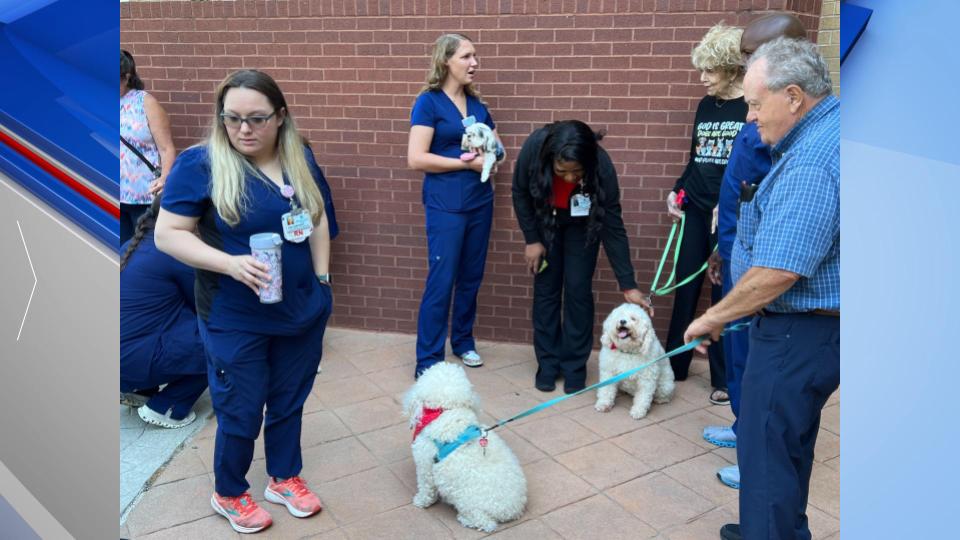 Nurses Week Therapy Dogs