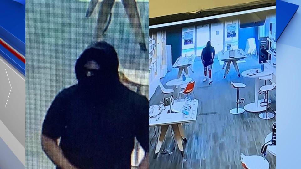 Armed Robbery Web