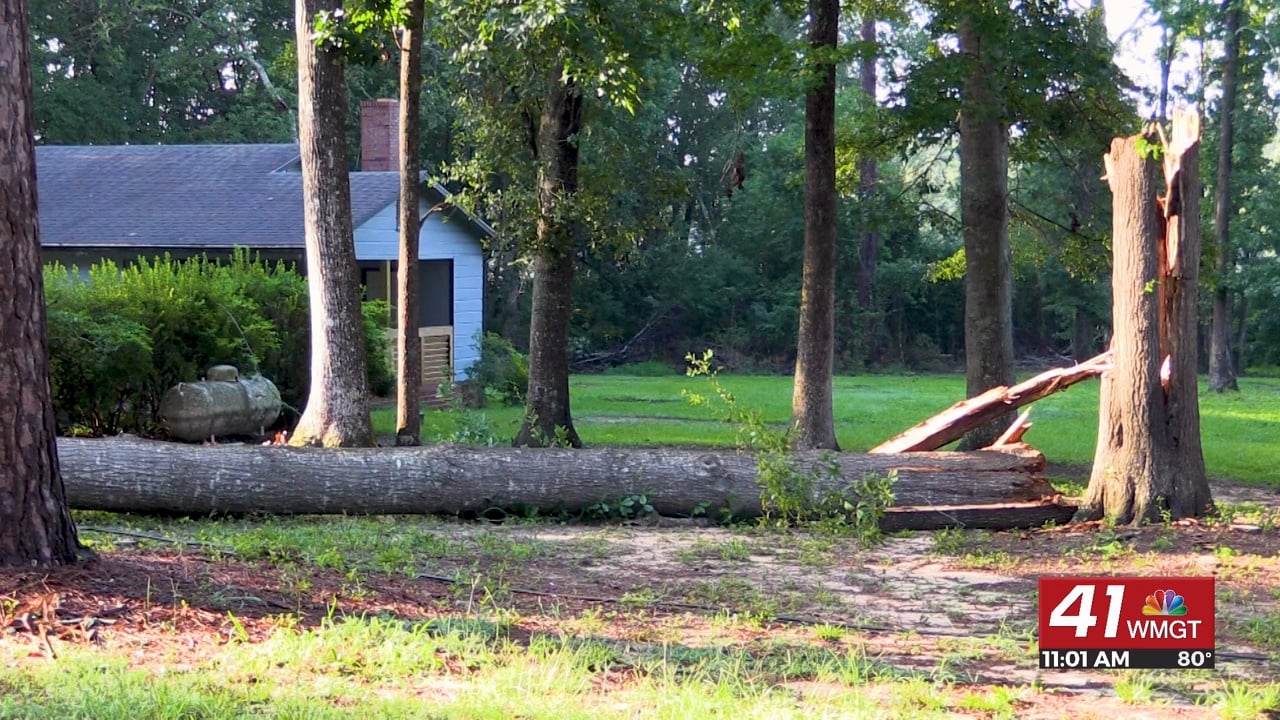Local crews spend morning responding to overnight storm damage - 41NBC ...