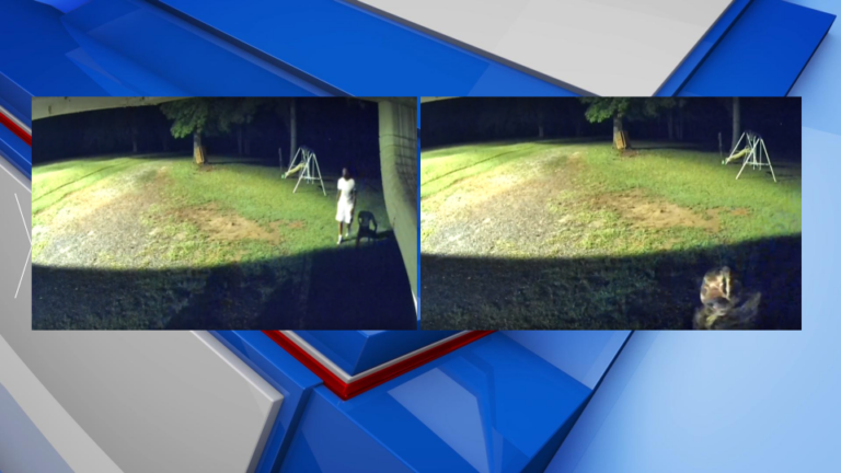 Monroe County deputies investigating Juliette burglary, need help ...