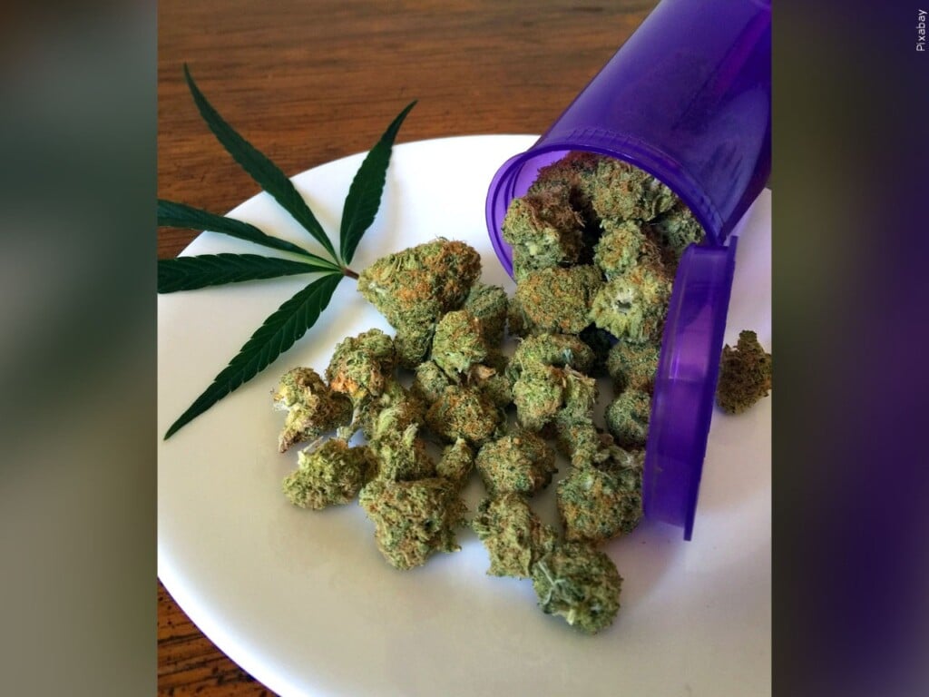 Medical Marijuana Mgn