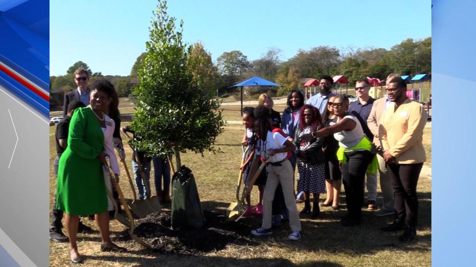 Kmbb Tree Planting