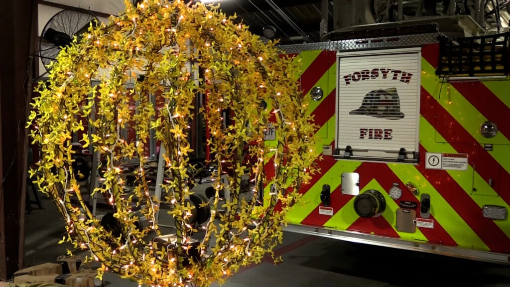 Forsythia Ball Drop