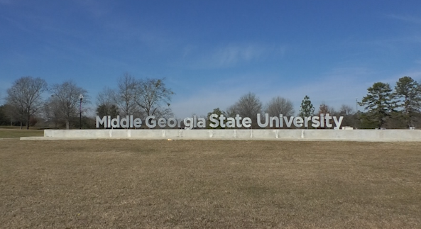Mgsu Trees