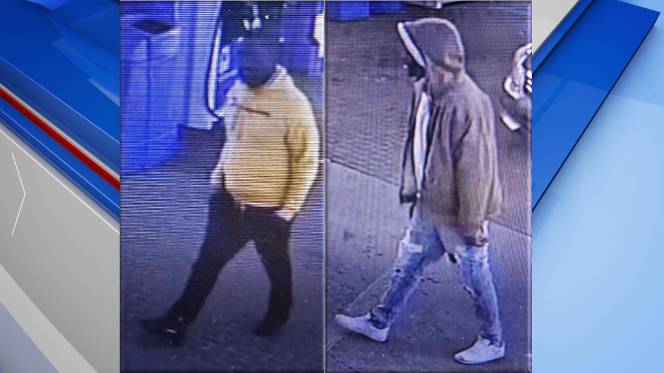 Bcso Stolen Vehicle Gfx