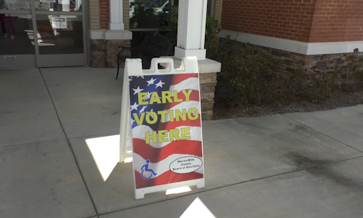Early Voting Pic