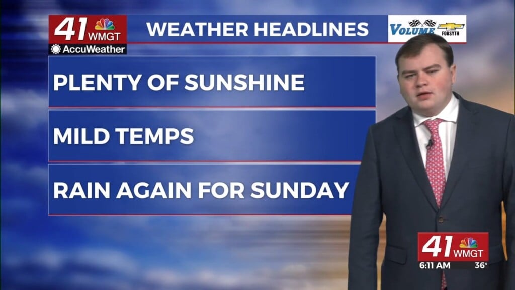 Sunny And Mild