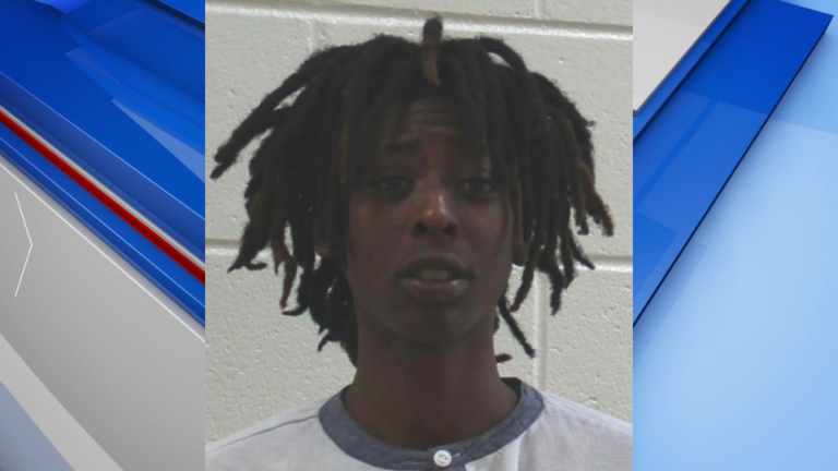 Warner Robins woman sentenced to life after pleading guilty to murder ...