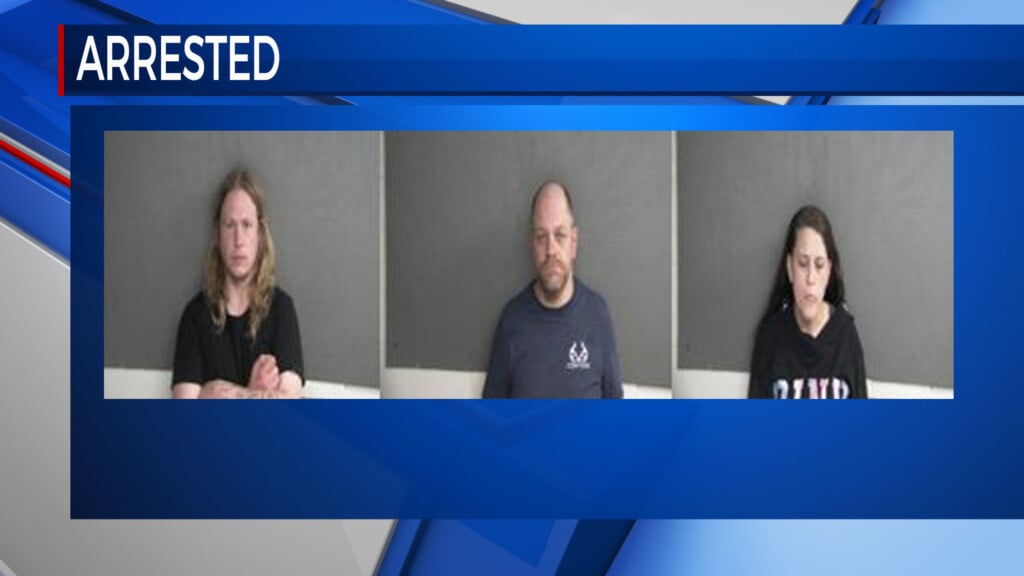 Twiggs Arrests