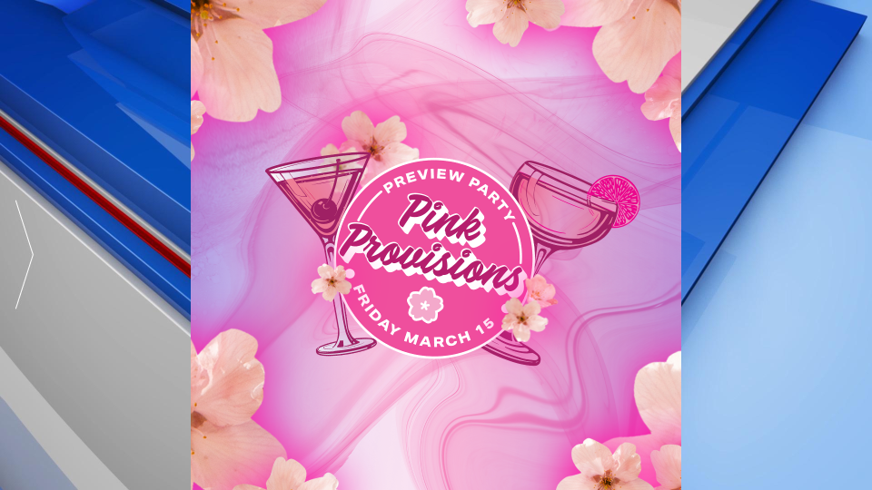 Pink Provisions Preview Party Gfx