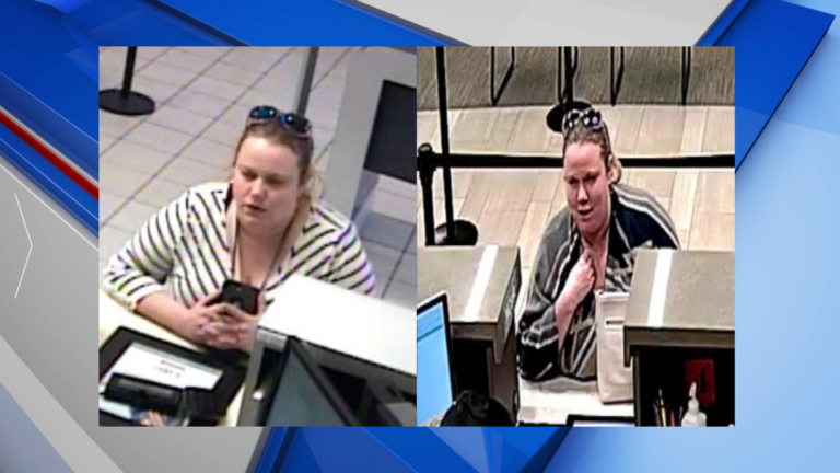 Houston County Deputies Seek Woman In $4,000 Credit Union Fraud Case ...