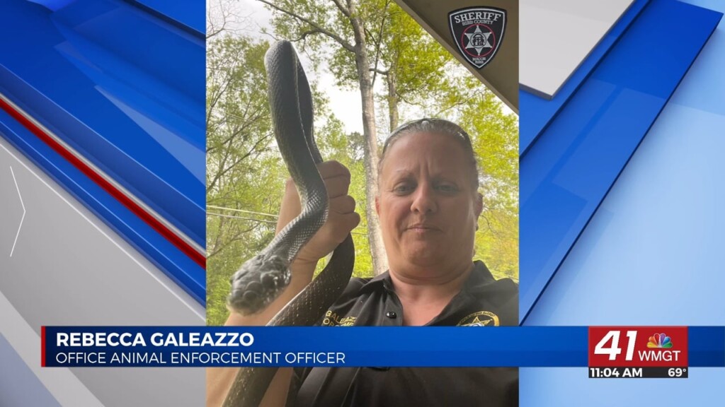 Bibb County Animal Enforcement Officer Removed An Eastern Ratsnake Found In A Driver's Vehicle
