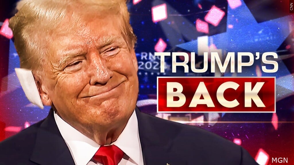 Trumps Back Gfx