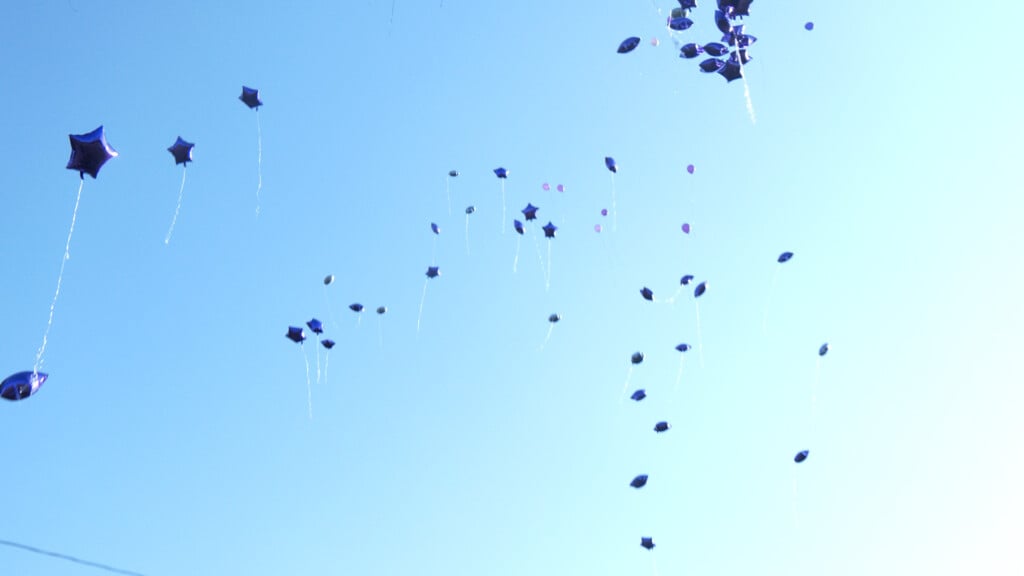 Cotina Fuller Balloon Release