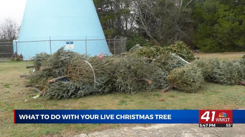 Georgia Forestry Commission Is Encouraging All To Recycle Their Christmas Trees