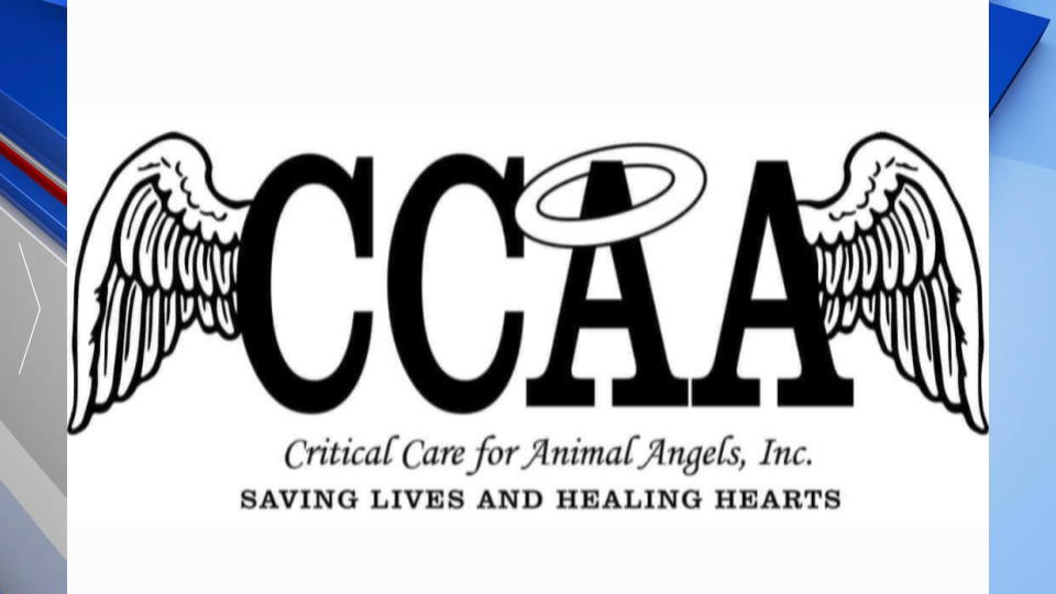 Critical Care Animal Angels Gfx