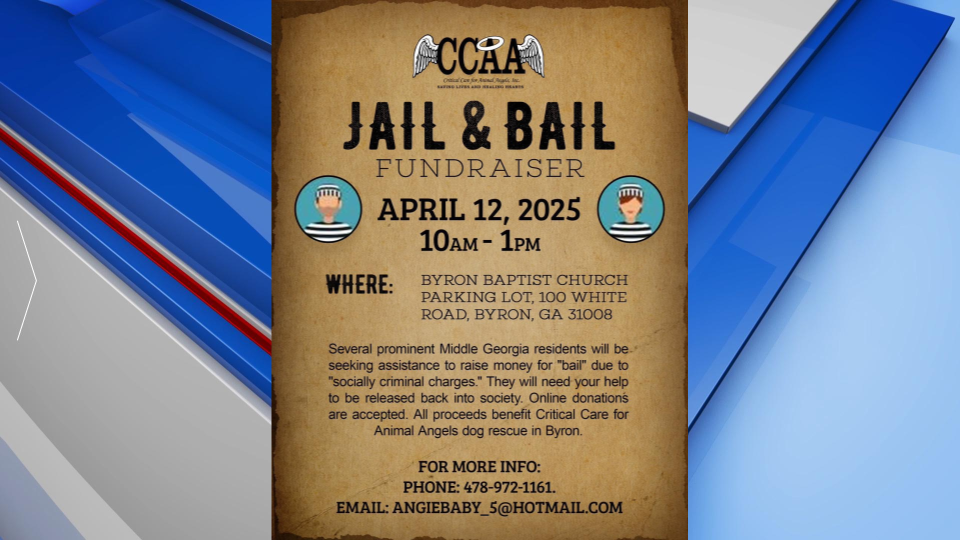 Critical Care Animal Angels Byron Fundraiser Jail And Bail Gfx