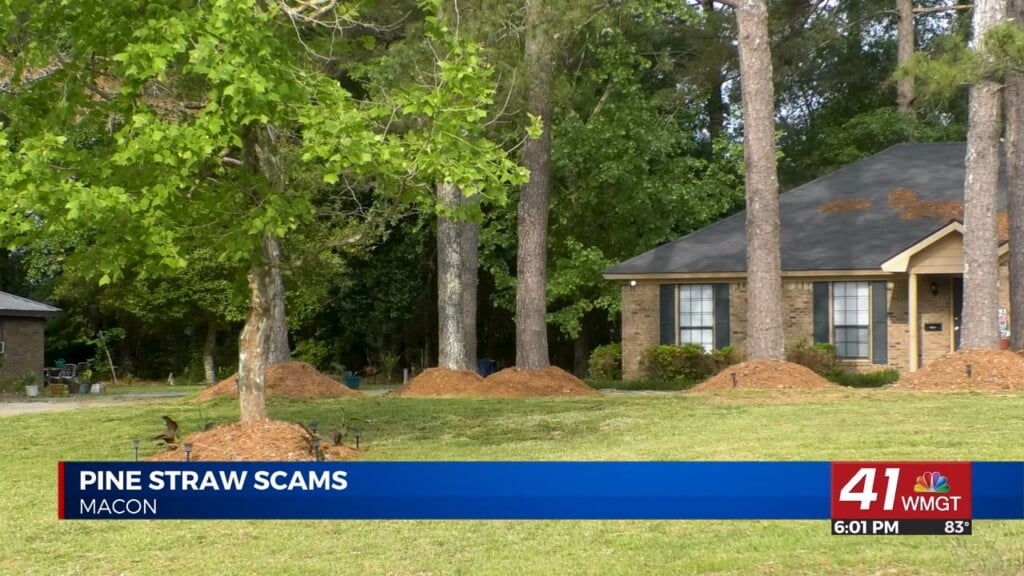 Pine Straw Scams Increase