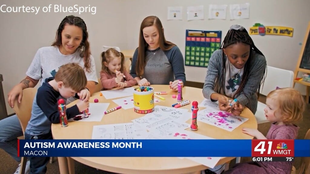 Bluesprig Clinical Director Discusses Autism Support, Aba Therapy