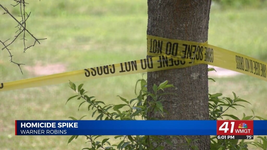 Houston County See’s An Increase In Domestic Violence Homicides
