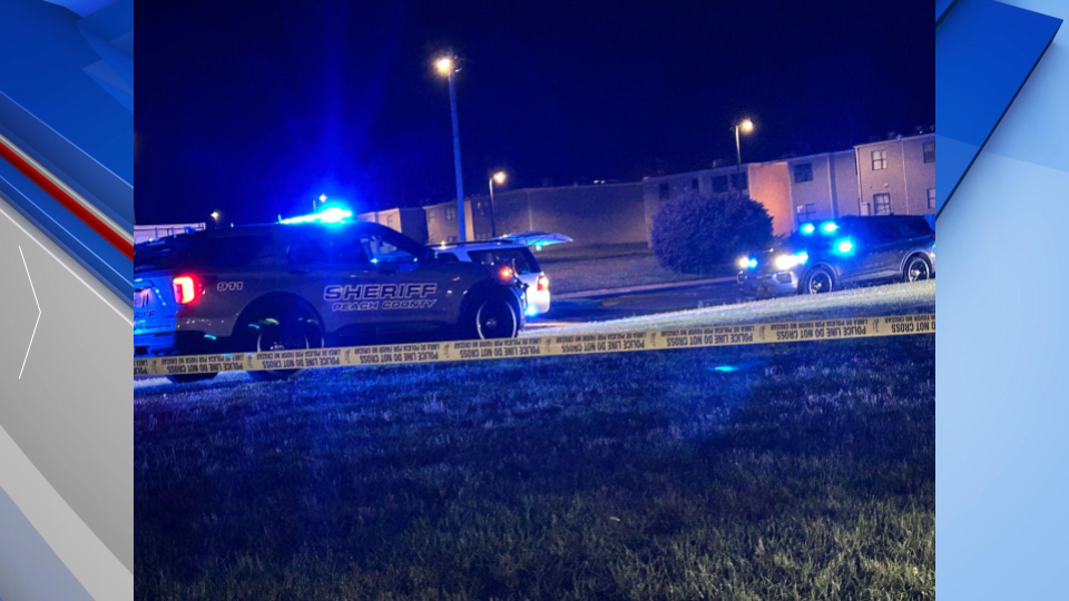 Fort Valley Shooting Gfx