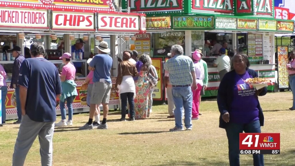 Cherry Blossom Festival Boosts Local Economy And Community Spirit