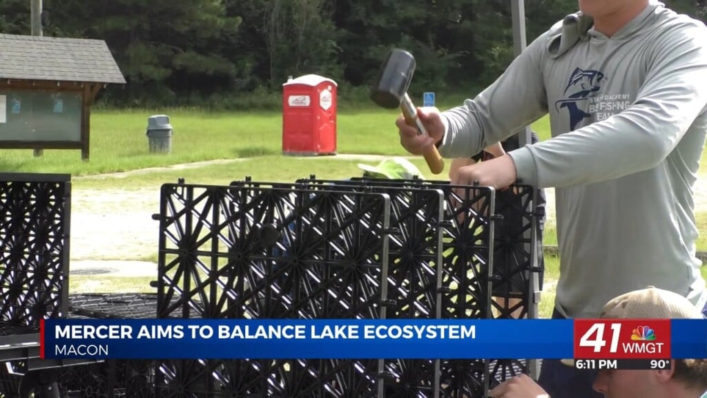 Mercer Aims To Balance Lake Ecosystem