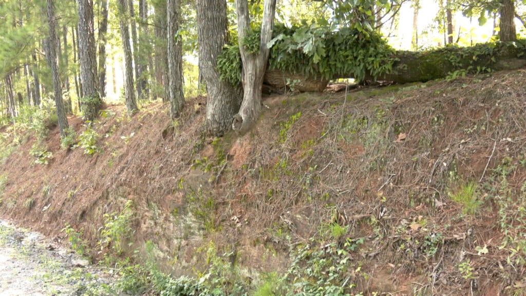 Land Scam