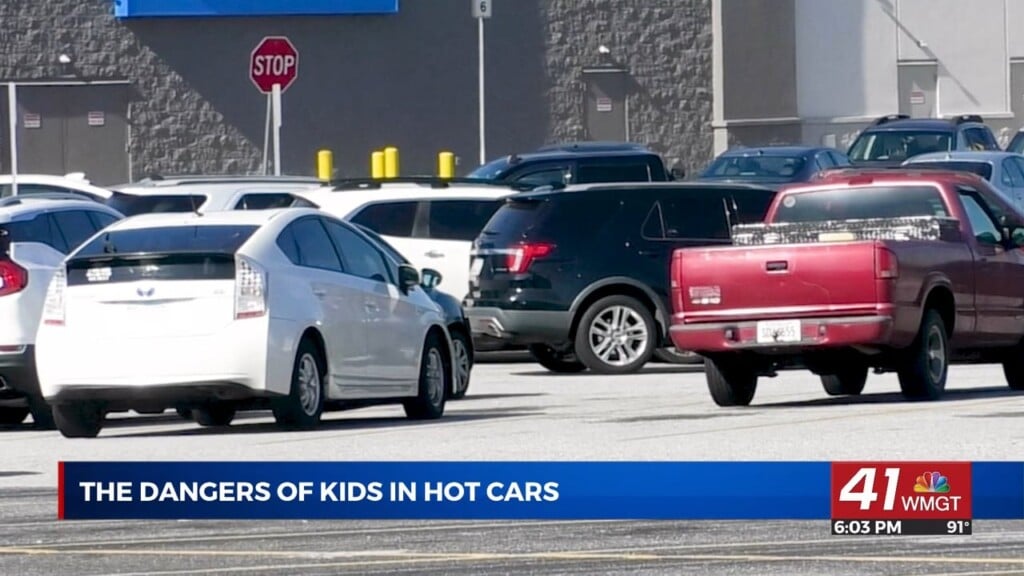 Doctors, Police Urge Safety As Hot Car Deaths Rise In Summer