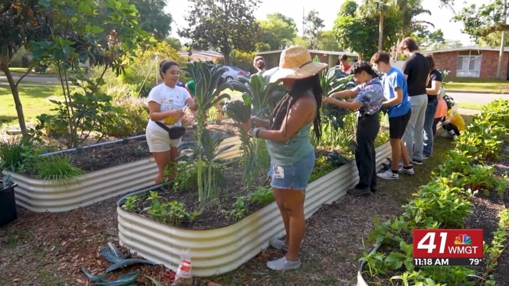 Positive Parenting: What Really Makes An Impact When It Comes To Sustainability?