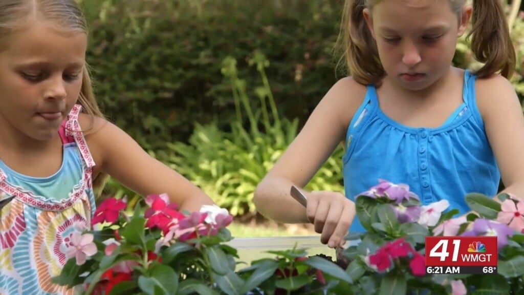 Positive Parenting: How Kids Can Help Save Pollinators