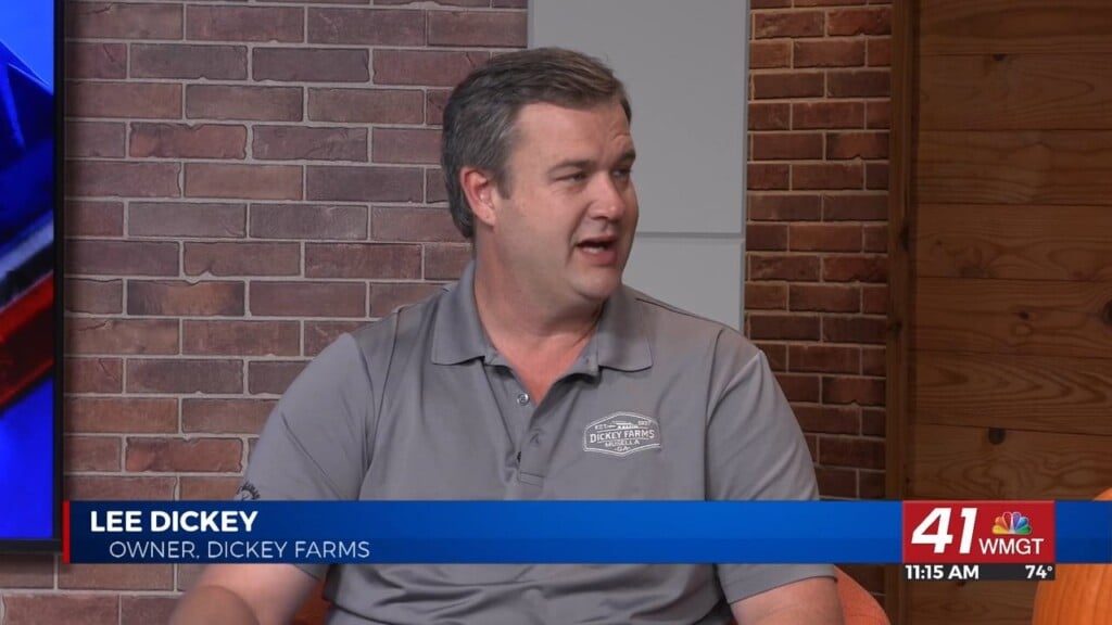 Dickey Farms To Host Fall Festival