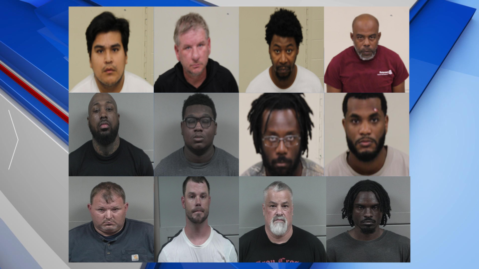 Byron Police Sting Arrests Gfx