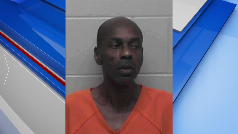 Laurens County Booking Photo Gfx
