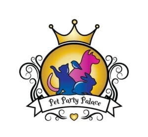 481248100 122105640152785622 5378500294870358819 N