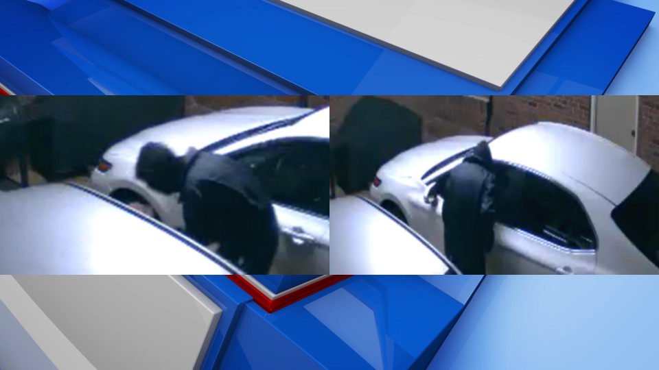 South Bibb Entering Autos Gfx