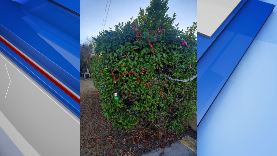 Mcrae Helena Christmas Tree Gfx