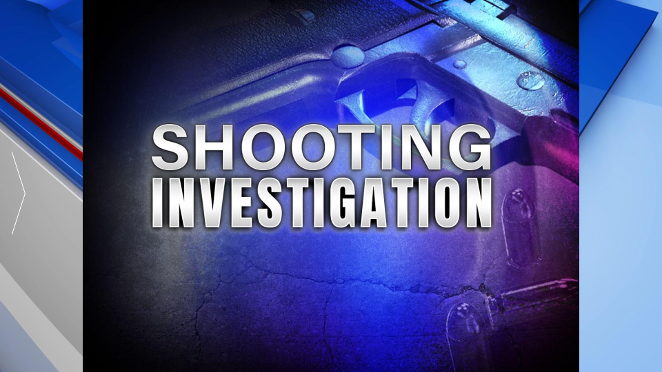 Gunfire hits Warner Robins home, man arrested