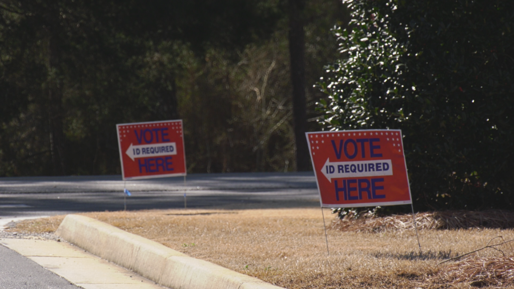 Election Article Pic