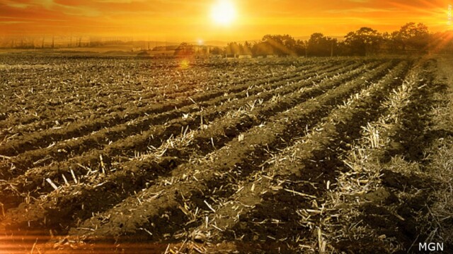 Georgia drought conditions: wildfire risk, crops and health concerns ...