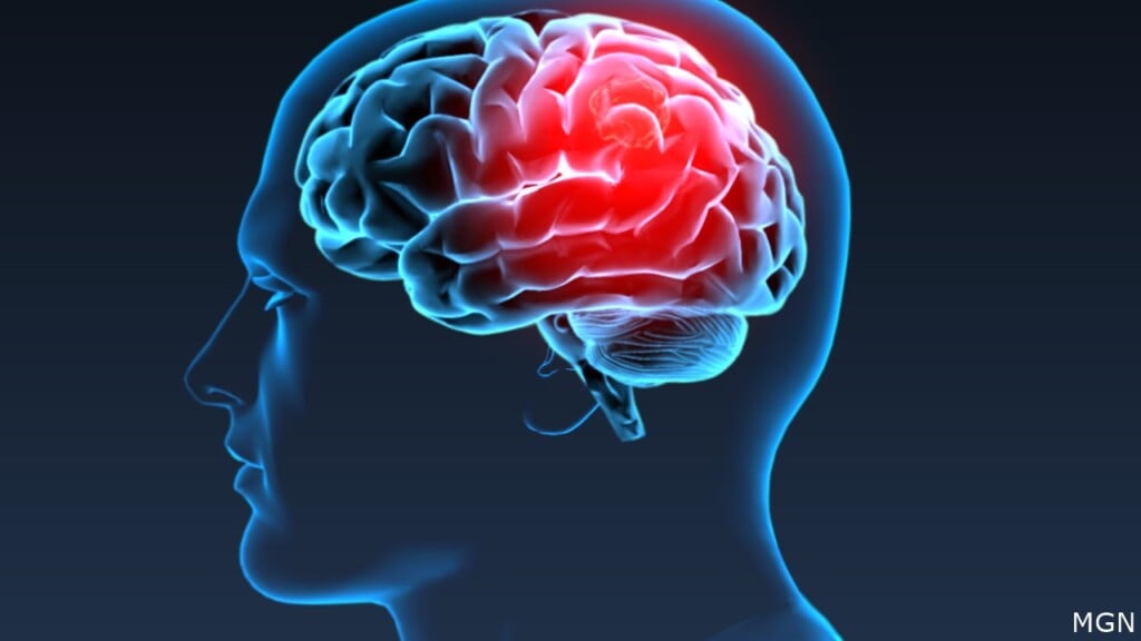 Silhouette of a person with highlighted brain for end-of-life documentary