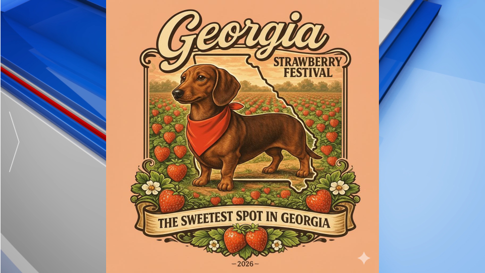 Georgia Strawberry Festival
