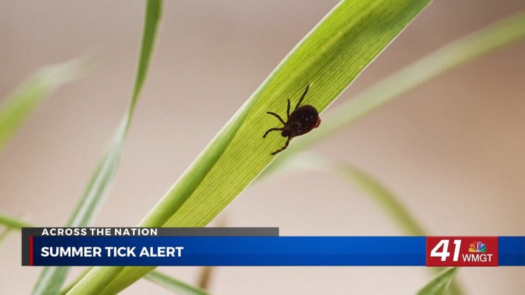 Tick Bites Surge As Lyme Disease Concerns Grow Nationwide